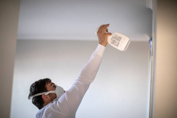 Home Mold Removal in Noble, OK