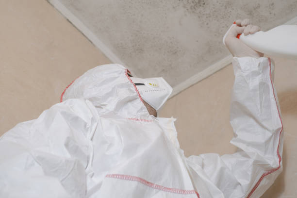 Best Mold Inspection  in Noble, OK